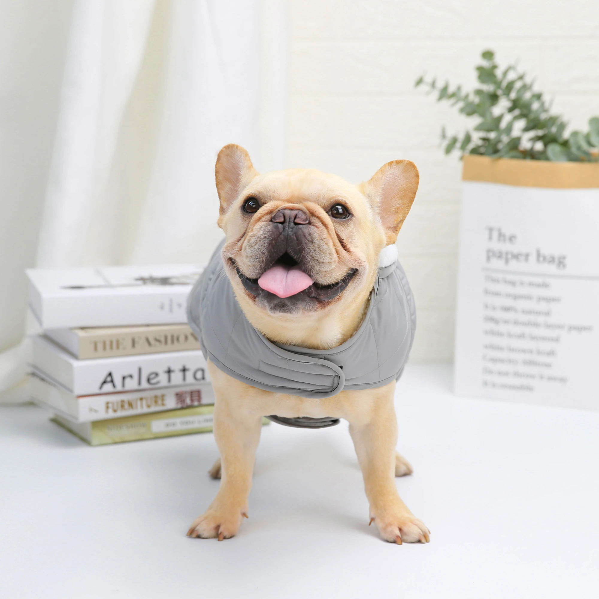 Extra Thick Wool&Cotton Soft Dog Coat Dog Clothes Pet Apparel Custom