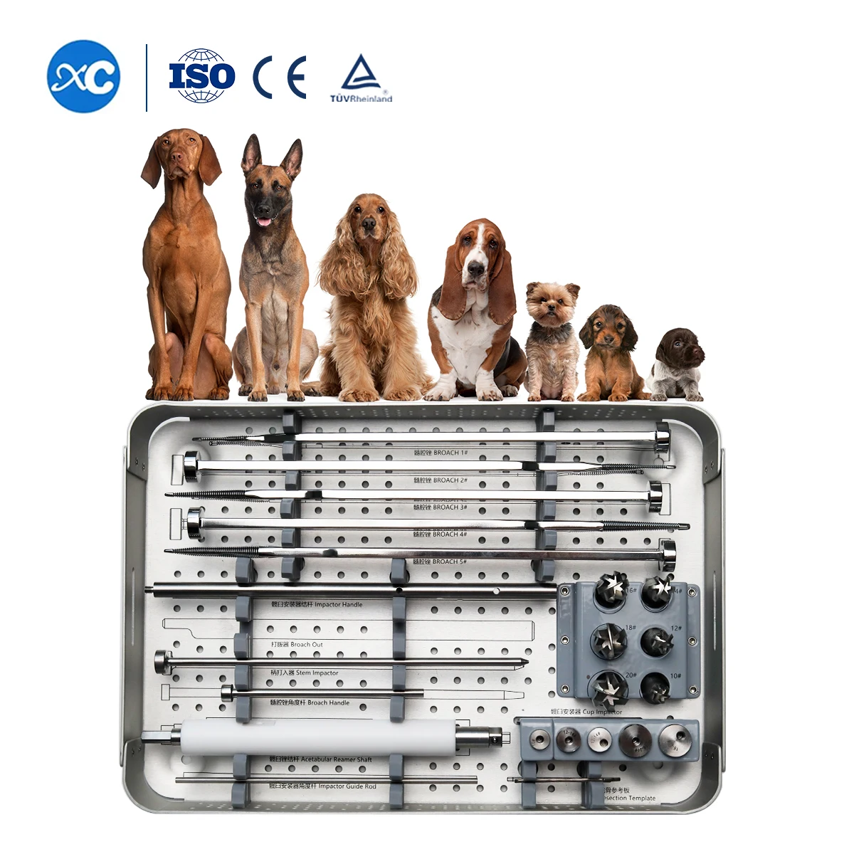 Veterinary orthopedic Stainless Steel Knee Joint Replacement System MINI Double Action Hip System For Small Animals//