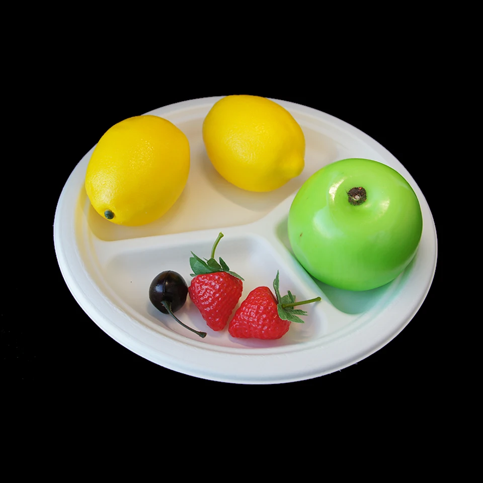 sugarcane pulp bagasse 9 inches biodegradable plates