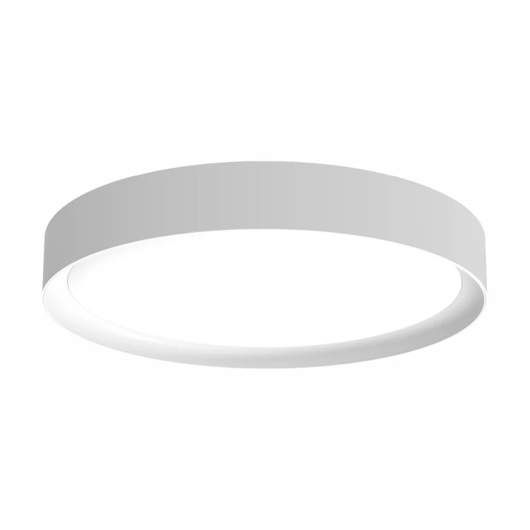 Chinese Manufacturer Modern Ceiling Lights Led Ceiling Light For Home Mounted Ceiling Lamp