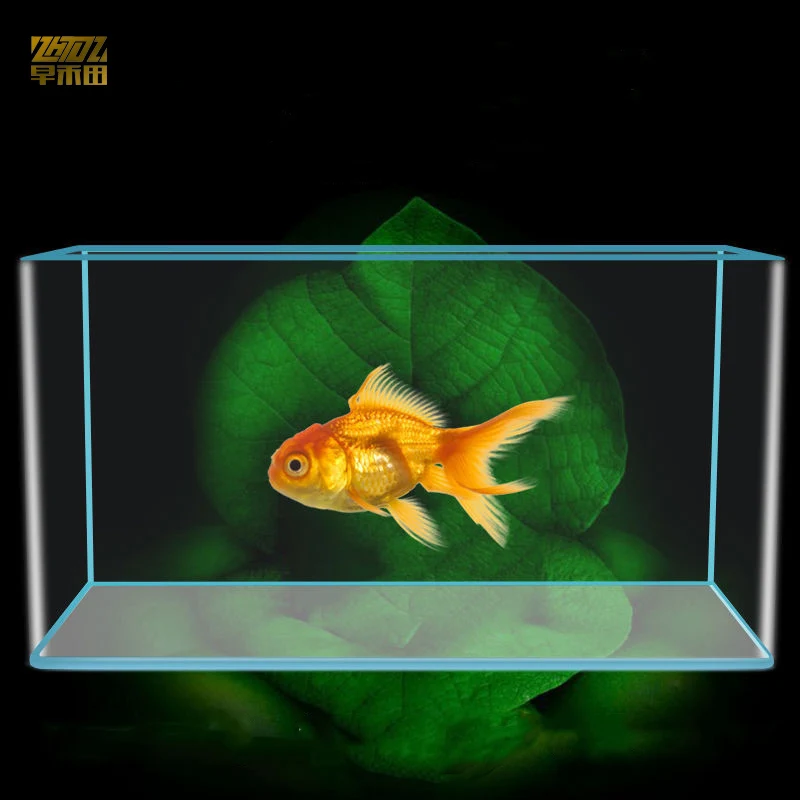 Glass HD fish tank 5in1 Glass fish tank Foshan factory small aquarium