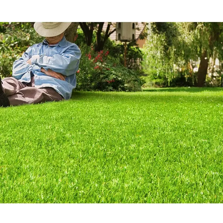Cheap Weather Fastness Artificial Grass Lawn Carpet Synthetic for Decorations