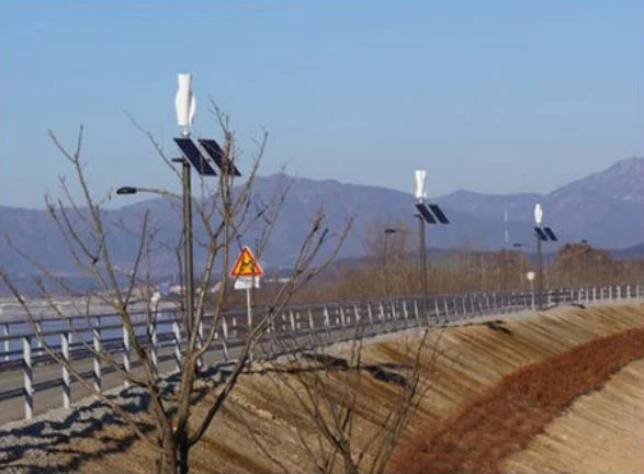 NE-SV 300w High Quality Wind Generator 12/24v Vertical Axis Wind Turbine for Home use Hot Sale