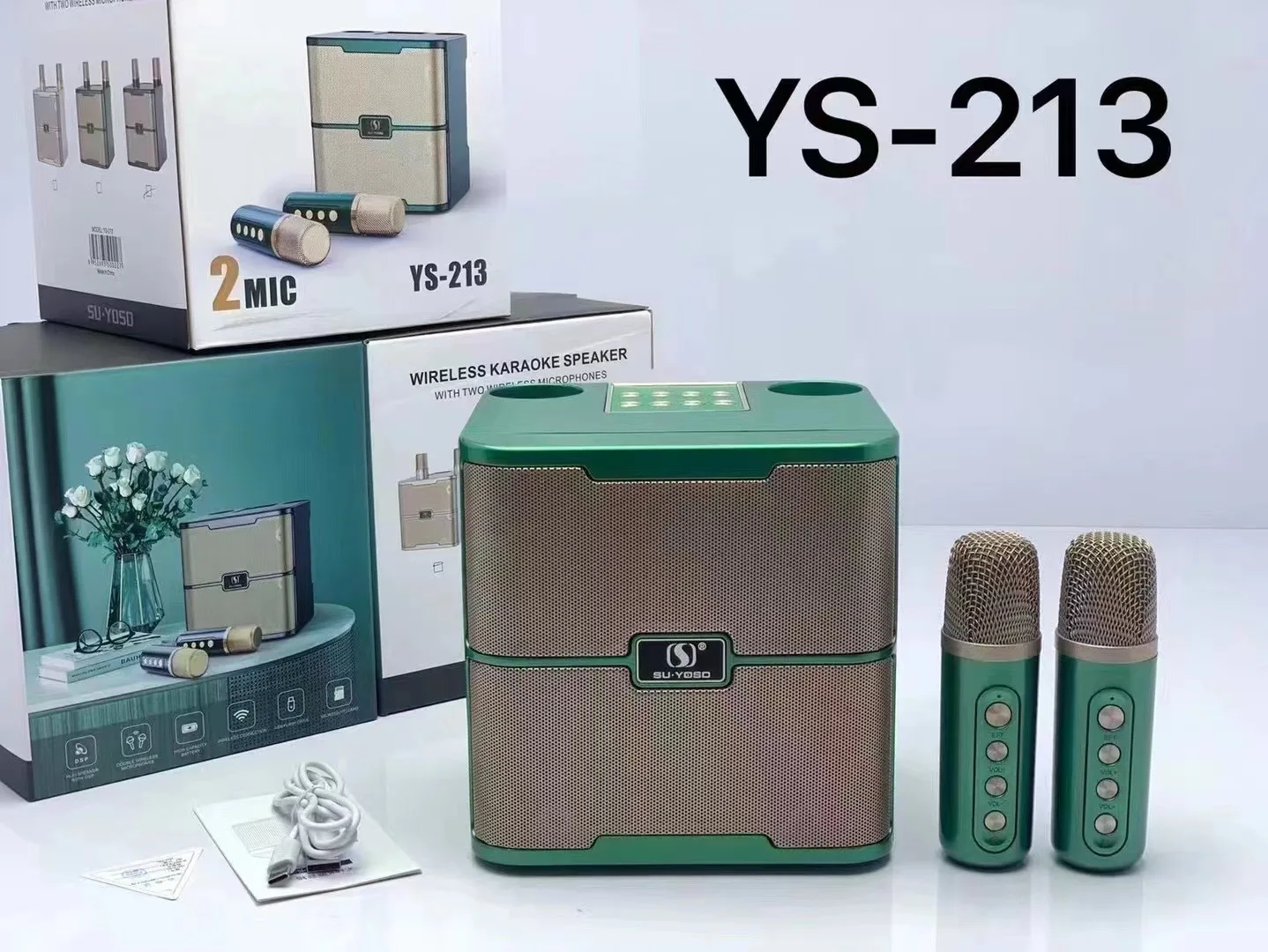 Wholesale Desktop Subwoofer speakers YS213 with dual wireless microphones family KTV BT speaker Portable karaoke speakers