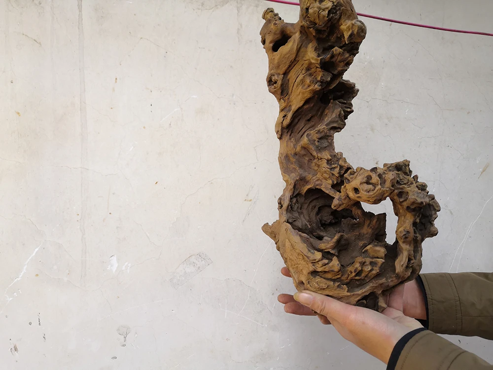 Decorative driftwood bonsai mangrove aquarium driftwood quality products