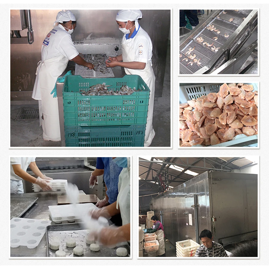 AICN high quality instant iqf tunnel fluidized spiral quick freezer machine individually frozen