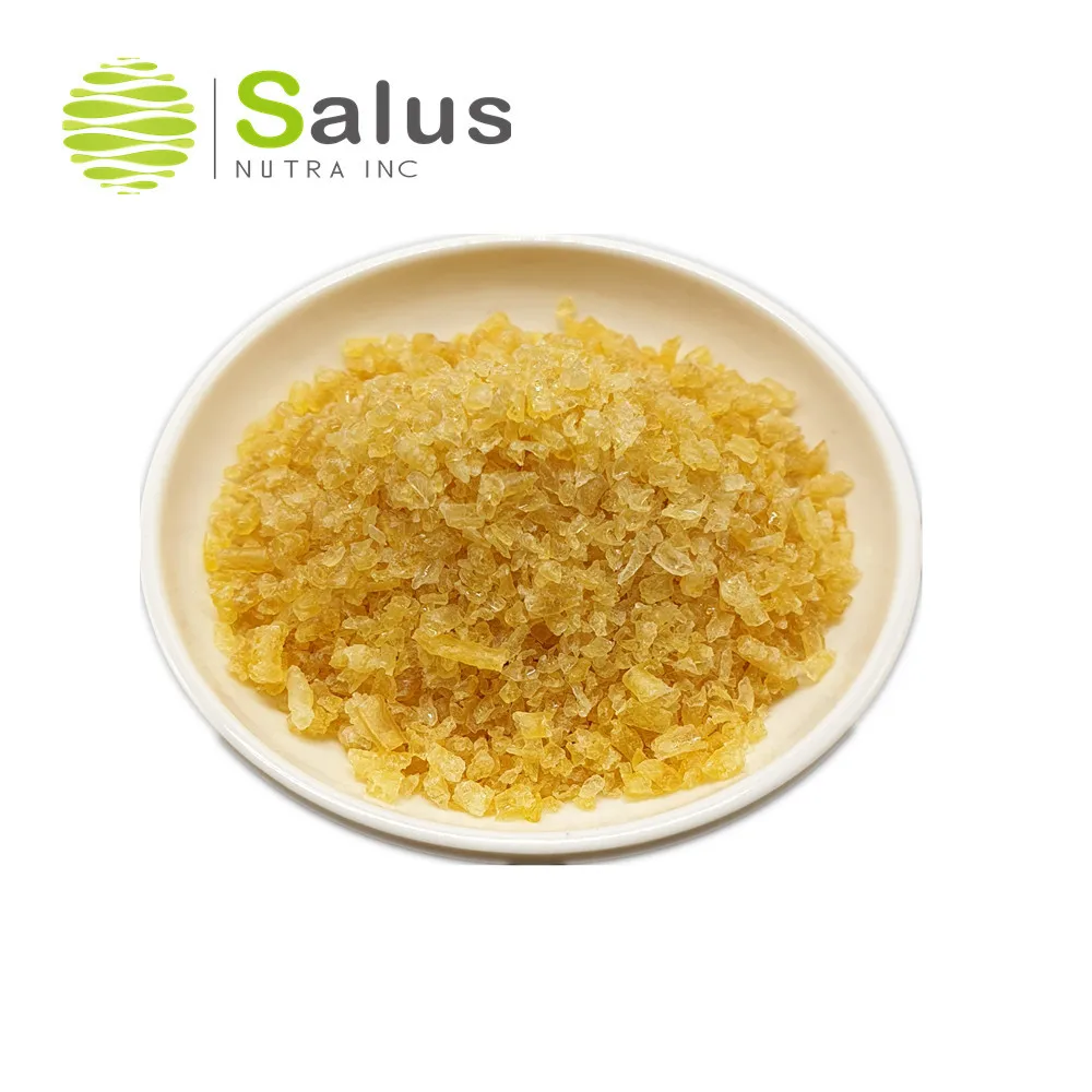 High Quality Best Price Gelatin