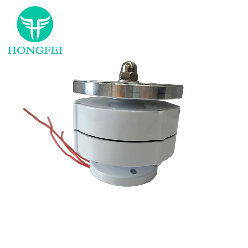China Supplier Low RPM Permanent Magnet Generator Permanent Magnet Motor Free Energy Generator