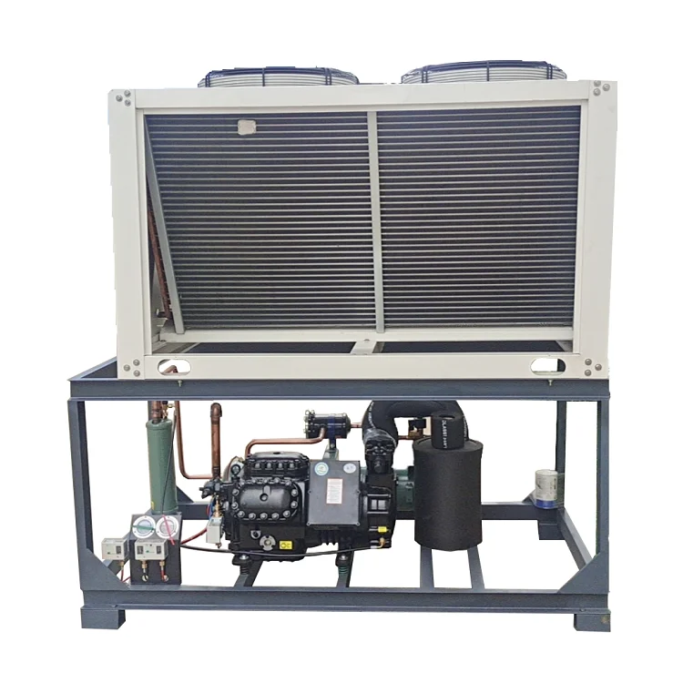 Low Noise Compressor Piston Air-cooled Refrigeration Unit Cold Storage Freezing Equip Heat Exchanger Condensing Unit of Copeland