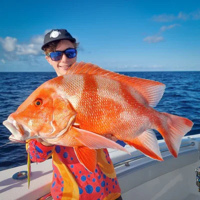 Fishing Lures Slow Pitch 60g 80g 120g 180g Saltwater Vertical Jigging Lures Speed Sinking Metal Lead Jigging Lures