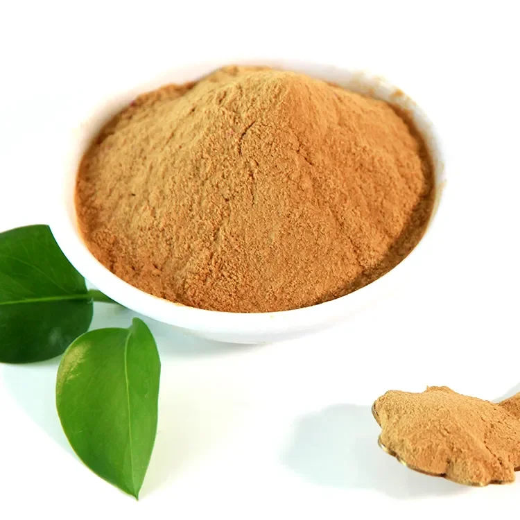 Water Soluble Luohanguo Powder Organic Monk Fruit Extract With Erythritol 100% Monk Fruit Sweetener Powder