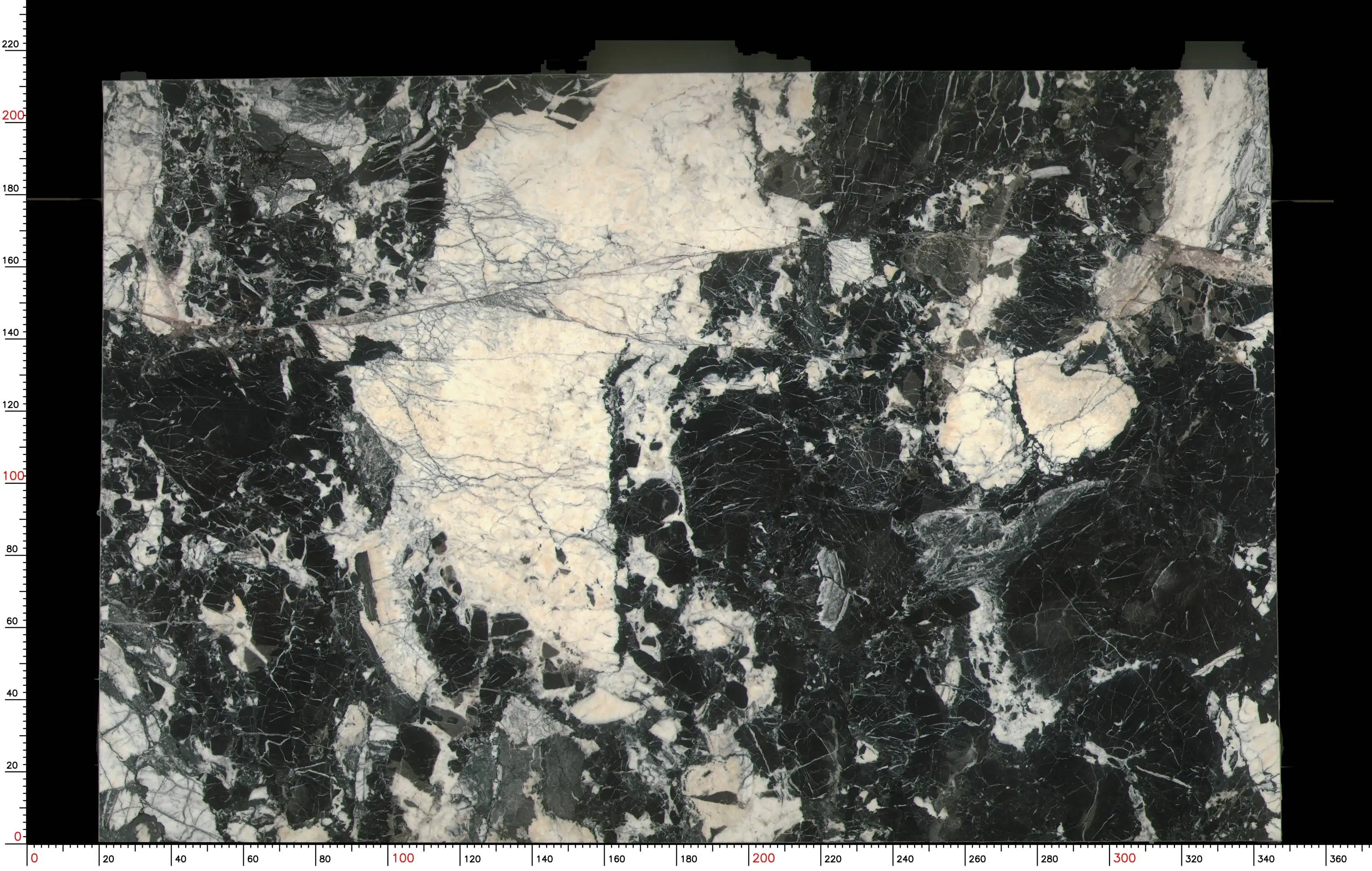 Hot sell calacatta black quartzite for countertop tiles and big slab marble natural stone