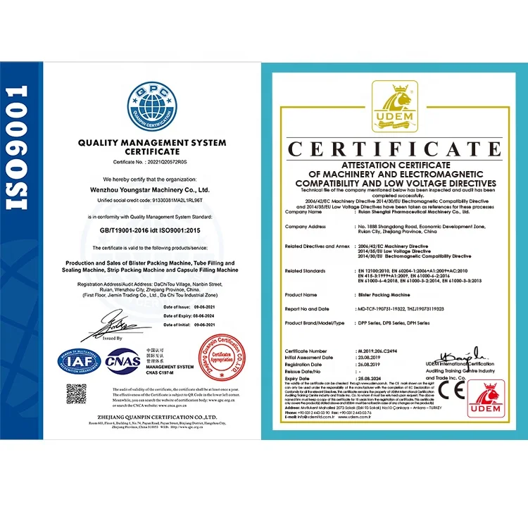 Alu Pvc Alu Alu Pack Blister Machine, Automatic Medical Tablet Pill Capsule DPP 140 Blister Packing Machine