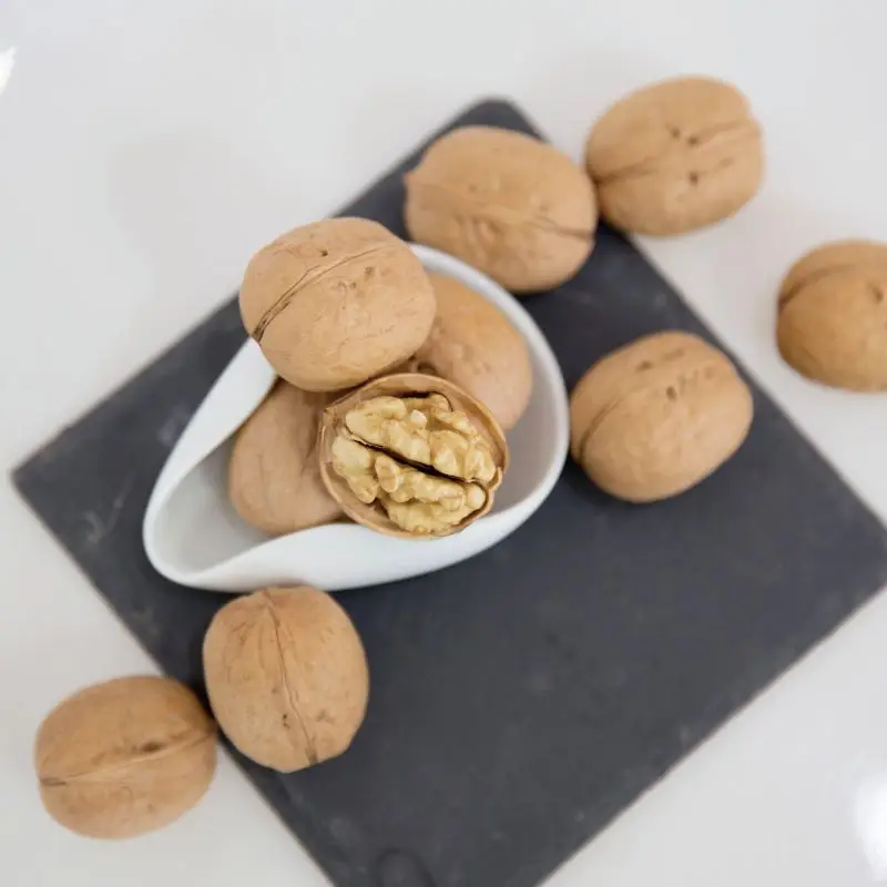 chinese top grade wholesale walnuts walnuts 185 xinjiang inshell  price