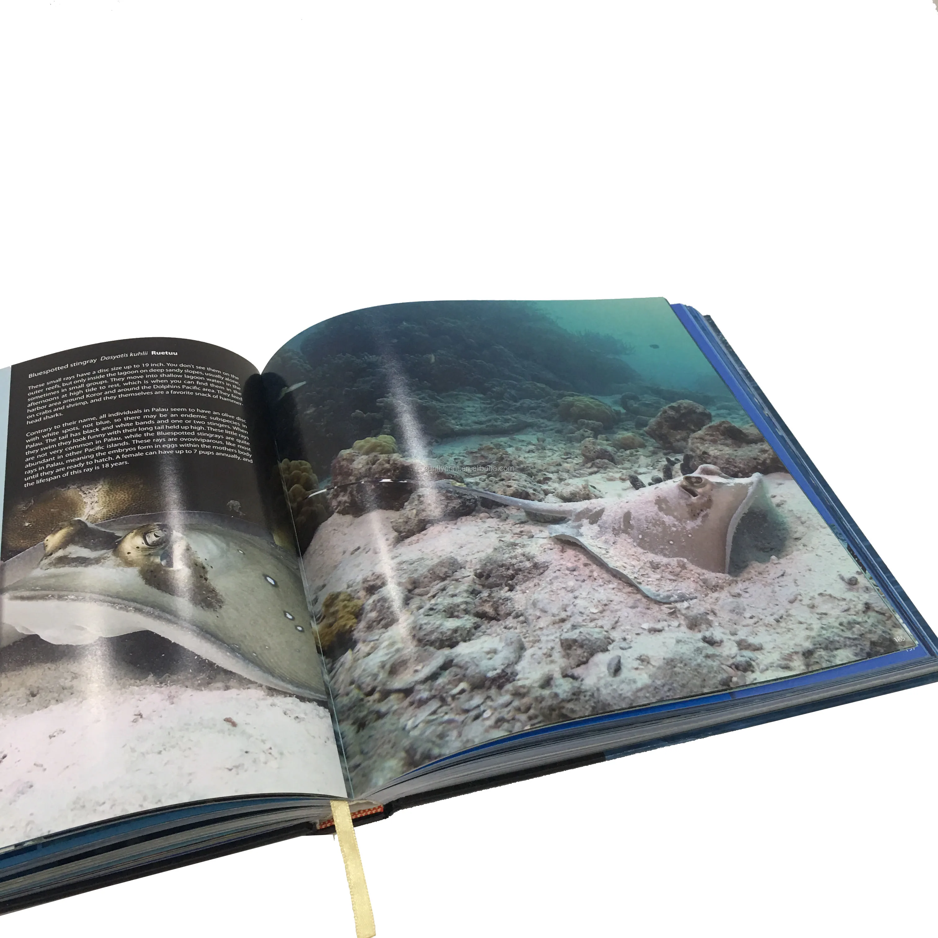 Factory direct sale high quality customized printing hardcover photography book design landscape art book printing on demand