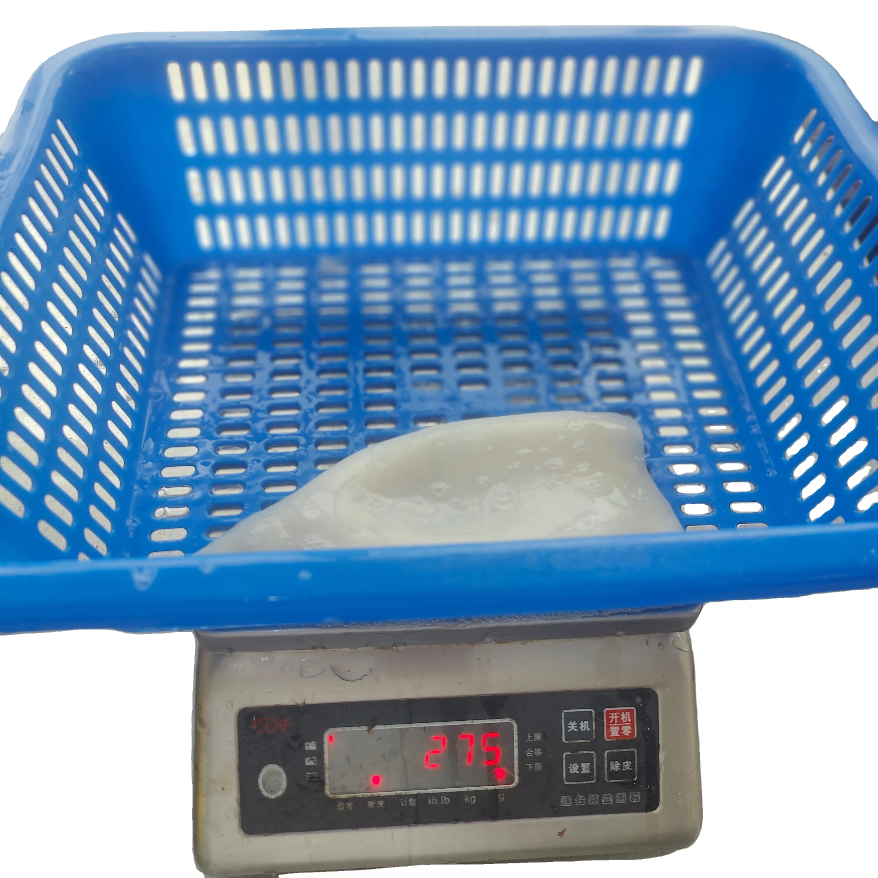 Iqf Calamari Cleaned Frozen Peru Gigas Squid Tube