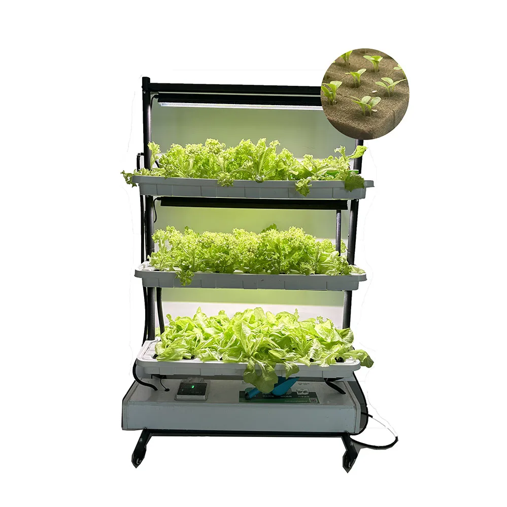 Набор для выращивания комнатных трав