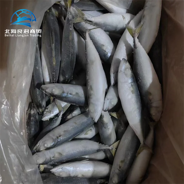 Хорошее качество 100-200 г свежих морепродуктов индийская популярная скумбрия целая круглая замороженная Тихоокеанская