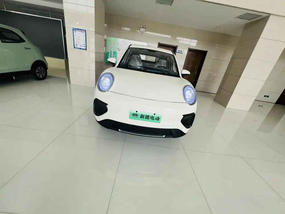 Chinese electric vehicle motor car mini golf electric cars for Europe