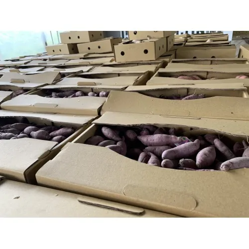 100% свежая красная кожа желтая плоть сладкий картофель конкурентоспособная