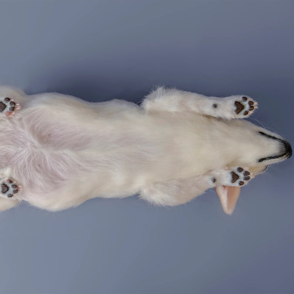 Custom Clone Dog 3d Model Simulation Animal Importer Art Display