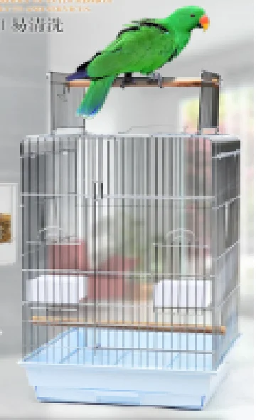 Large Comfortable Black Color Parrot Bird Cages With Breeding Door For Parrots Lovebird Pet Living House