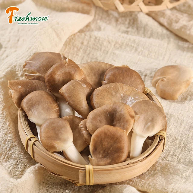 buy fresh brown oyster mushrooms for sale with great price