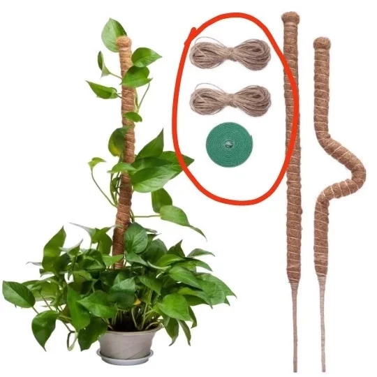 Bendable Plant Sticks Support for Climbing Growth Stakes for Indoor Plants Moss Pole for Plant