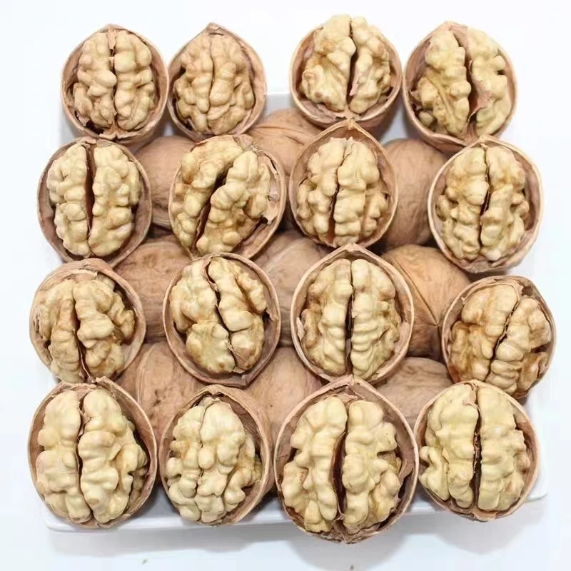 Brown Raw Cashew Nuts Dry Eat China Raw Walnut Peeled Raw Plastic Bags Trail Mixed Nuts and Dried Fruits Special Grade Raw Shell