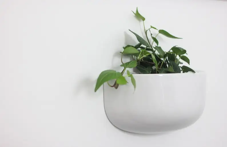 Modern Cozy Home Decor Indoor Flower Herb Pot Wide Wall Vase Planter