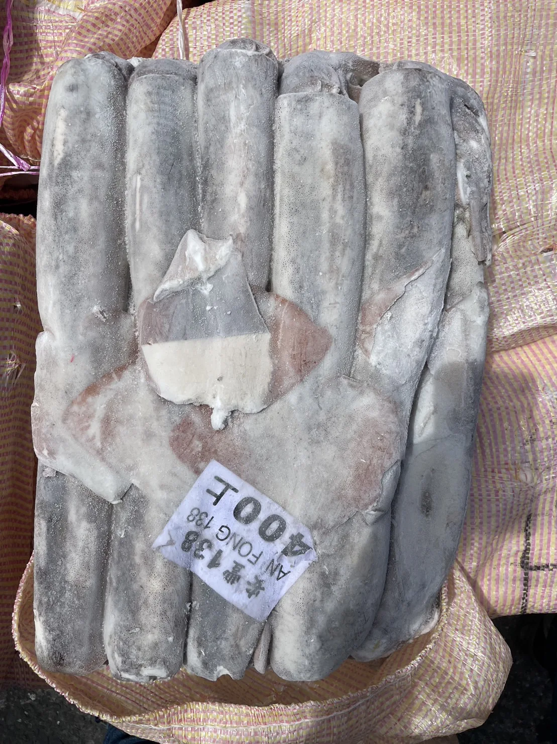 Supplying Whole Round Taiwan Origin Squid 400-600g Machine Wash Customizable Frozen Seafood Bulk Packaging Natural Color 10kg