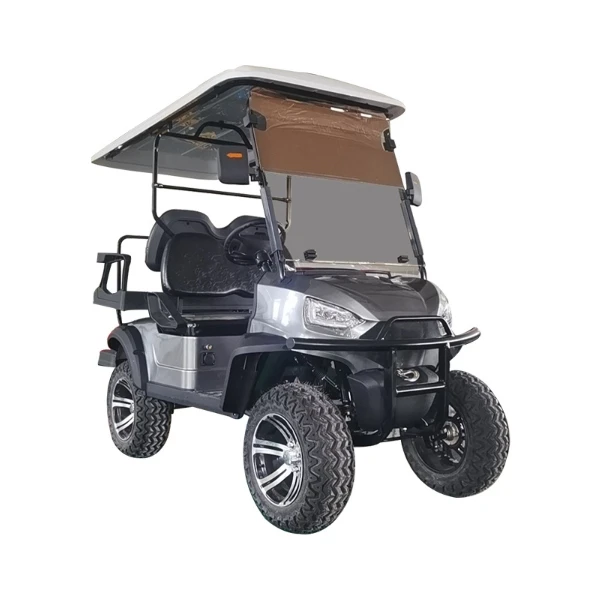 High Quality 800W 60V Long Range Electric Golf Cart 14 Inch Family Electric Tricycle 4 Wheel Electric cars