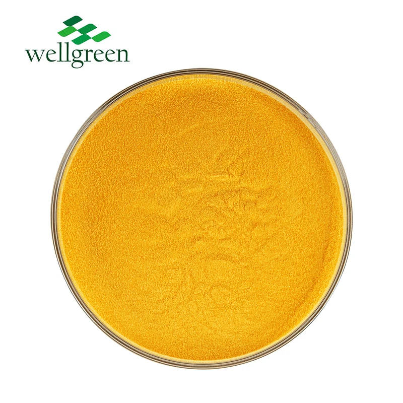 Free Sample Natural Vitamins Supplement Powder Raw Material Vitamin B9 Purity 99% Folic Acid