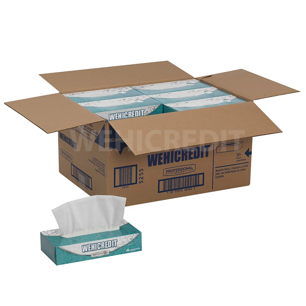 1-4 ply SOFTEST Cheap funny private label soft pack white hygiene branded box face 1-4 layer facial tissue paper