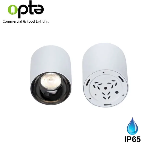 Cylinder 20W outdoor LED Ceiling Surface Mounted Downlight with IP65