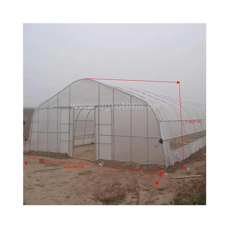 Large Size Tunnel greenhouse Agriculture Greenhouse for Hydroponic Farming Commercial used commerica greenhouse for agriculture