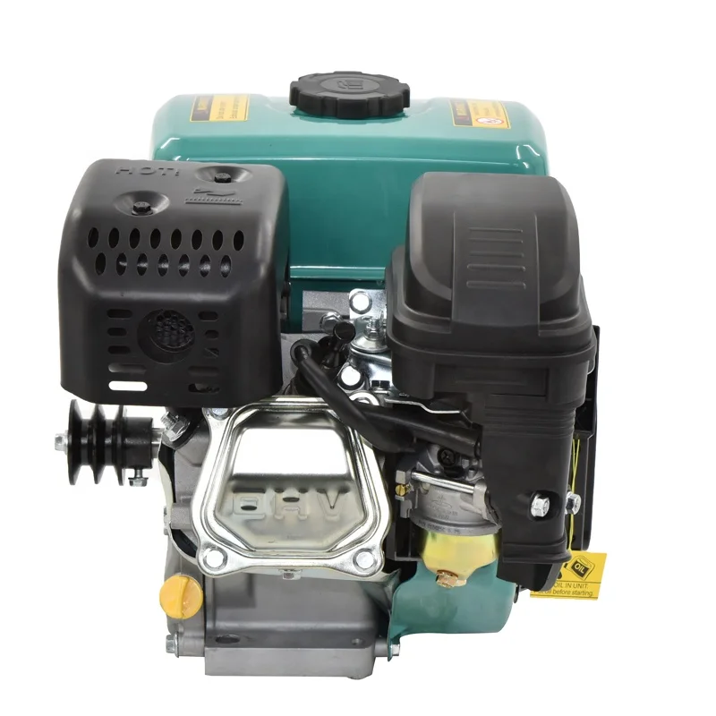 Customized green 16kg 6.5hp 2500rpm 196cc air cooled gasoline engine for gasoline generator