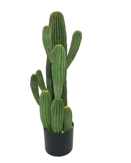 Hot Selling Cheap Indoor Tropical Plants Small Potted Desert Plant Bonsai Artificial Succulent Cactus