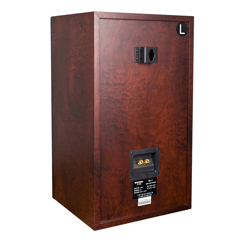 ToneWinner 2021 hot sale bass Karaoke wooden bookshelf sounds system equipment dj speaker party speaker