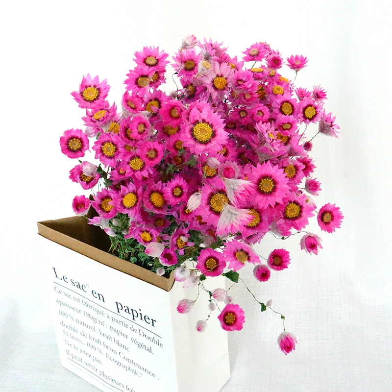 
wholesale cheap preserved flowers Dried Flower Rodanth For Wedding Home Decoration 