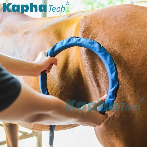 Non-invasive Equine Machine Big Treatment Area Pulse Electromagnetic Field Physiotherapy PMST LOOP