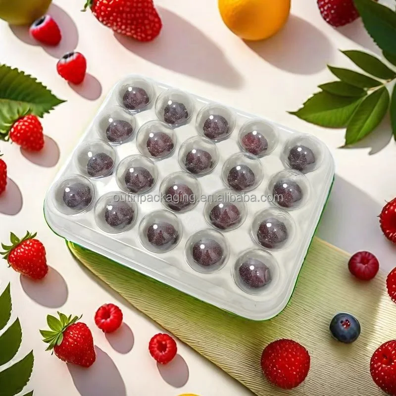 eco friendly Biodegradable mold Paper bagasse Pulp Fiber Fruit Basket Container Strawberry Cherry Storage Packaging box tray