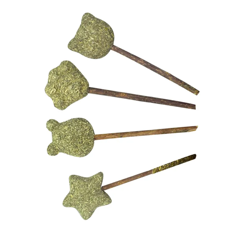 Personalized Cat Ball Toy Kitten Treats Cat Candy Cat Snack Catnip Lollipop