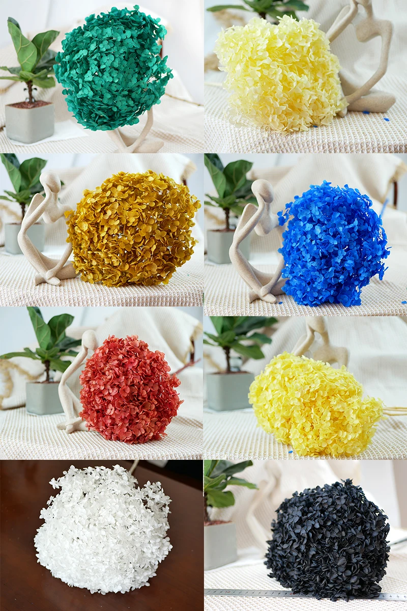 Wholesale Preserved Plants Dry Hydrangea Dried Flowers Big Cream Preserve Large Hydrangeas Flower Head Hydrangea