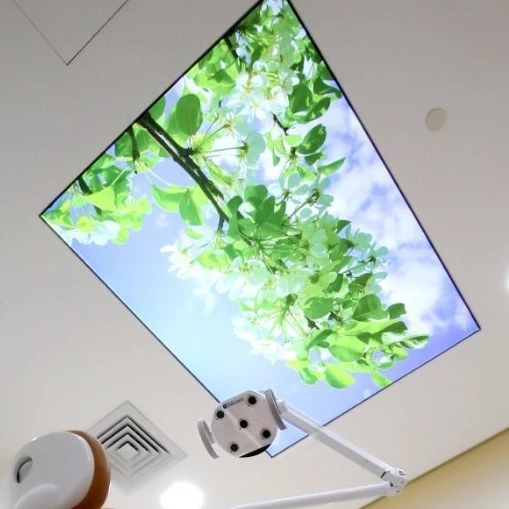 ZHIHAI Autumn leaves print lamp led fixed plastic boards kenya pvc stretch ceiling film