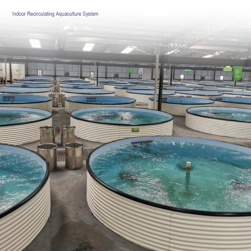 Customize design aquaculture directory,  ras lobster, fish farming ammonia sensor