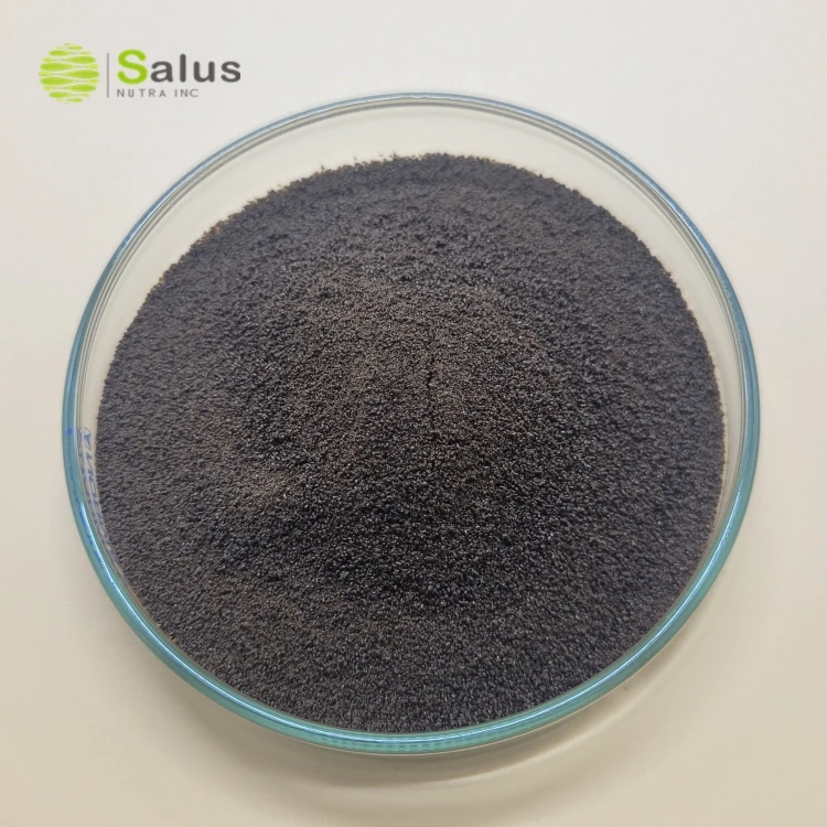 Ganoderma mushroom Coffee Powder OEM Service For Longevity, Mood, Sleep, & Immune Support