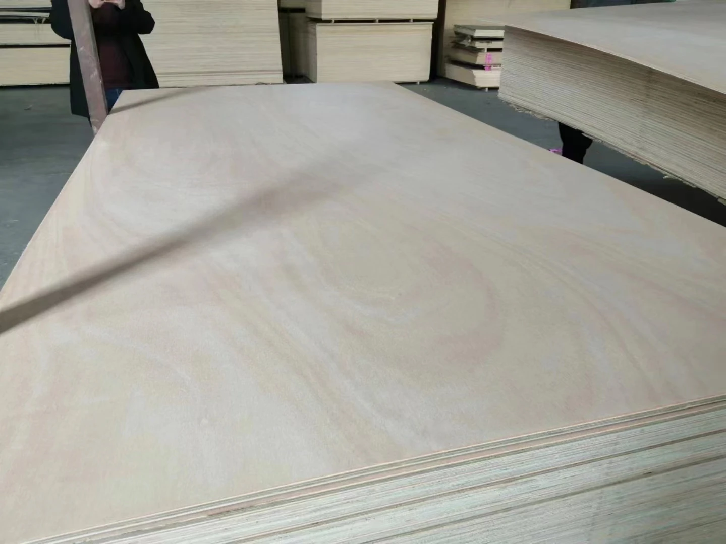 Wholesale Prices Hardwood/Poplar/Birch/Pine Plywood Sheet Furniture Plywood Construction