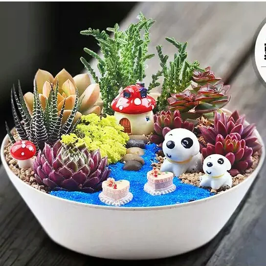 colorful decorative flower pots korean succulent combination flower pots