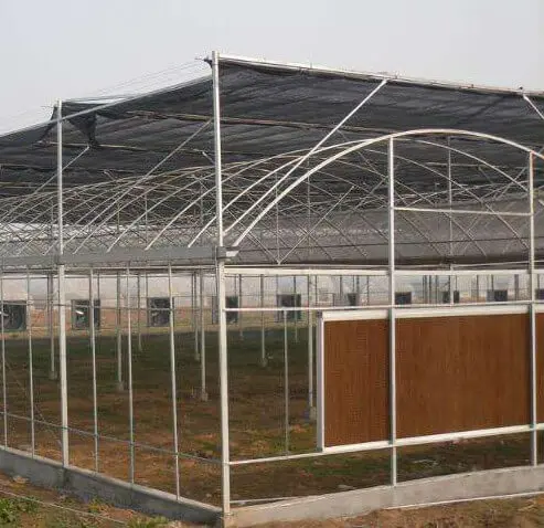 Greenhouse Livestock Equipment Water Air Curtain Poultry Farming Industry Steel Stainless Steel Aluminum Paper Core Pump